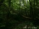Thumbs/tn_99101006.jpg