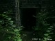 Thumbs/tn_99101009.jpg