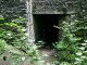 Thumbs/tn_99101010.jpg