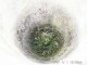 Thumbs/tn_99101012.jpg