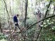 Thumbs/tn_99101022.jpg