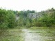 Thumbs/tn_99101024.jpg