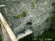 Thumbs/tn_99101028.jpg