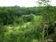 Thumbs/tn_99101031.jpg