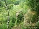 Thumbs/tn_99101032.jpg