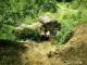 Thumbs/tn_99101033.jpg