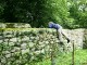 Thumbs/tn_99101037.jpg