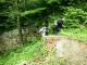 Thumbs/tn_99101038.jpg