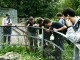 Thumbs/tn_99101045.jpg