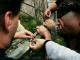 Thumbs/tn_99101047.jpg