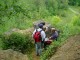 Thumbs/tn_DSC03419.jpg