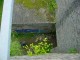 Thumbs/tn_DSC03426.jpg