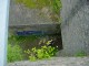 Thumbs/tn_DSC03427.jpg