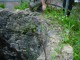 Thumbs/tn_DSC03429.jpg