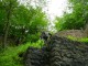 Thumbs/tn_DSC03448.jpg