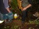 Thumbs/tn_DSC03451.jpg
