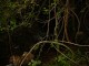 Thumbs/tn_DSC03452.jpg
