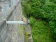 Thumbs/tn_DSC03456.jpg