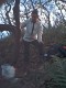 Thumbs/tn_PIC00003.jpg