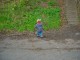 Thumbs/tn_DSC04629.jpg