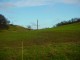 Thumbs/tn_DSC04654.jpg