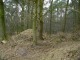 Thumbs/tn_DSC05220.jpg