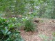 Thumbs/tn_DSC02896.jpg