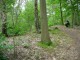 Thumbs/tn_DSC02897.jpg