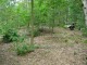 Thumbs/tn_DSC02898.jpg