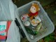 Thumbs/tn_DSC02900.jpg