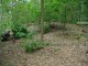 Thumbs/tn_DSC02910.jpg