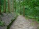 Thumbs/tn_DSC02914.jpg