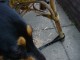 Thumbs/tn_DSC02918.jpg