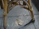 Thumbs/tn_DSC02919.jpg