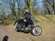 Thumbs/tn_DSC05721.jpg
