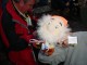 Thumbs/tn_DSC08572.jpg