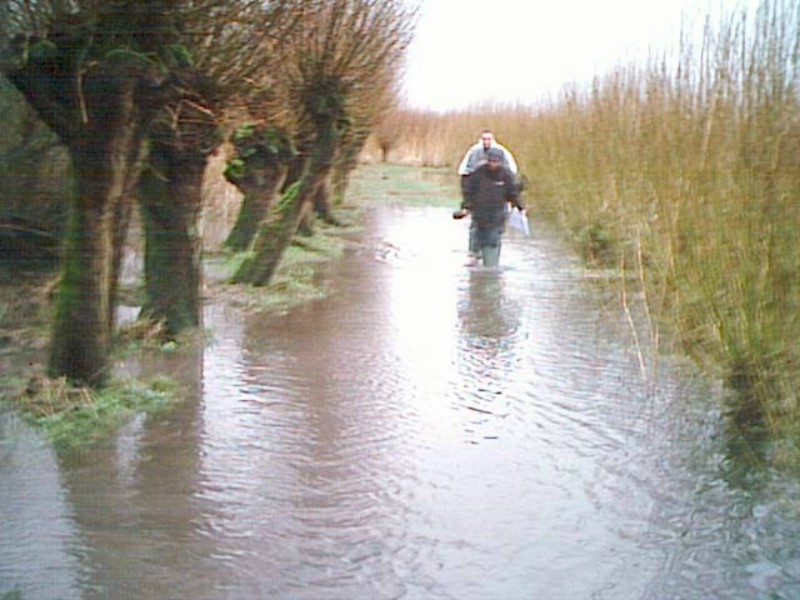 ../Images/PIC00001.jpg