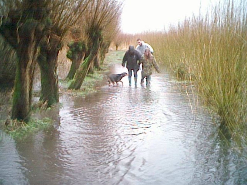 ../Images/PIC00002.jpg