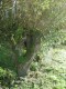 Thumbs/tn_Pic17.jpg