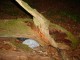 Thumbs/tn_DSC00958.jpg