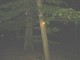 Thumbs/tn_DSC00967.jpg