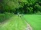 Thumbs/tn_DSC00977.jpg