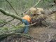 Thumbs/tn_DSC08558.jpg