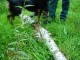 Thumbs/tn_DSC01807.jpg