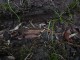 Thumbs/tn_DSC01810.jpg