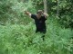 Thumbs/tn_DSC01811.jpg