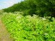 Thumbs/tn_DSC01635.jpg