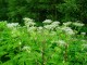 Thumbs/tn_DSC01636.jpg