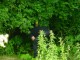 Thumbs/tn_DSC01641.jpg