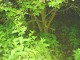Thumbs/tn_DSC01648.jpg